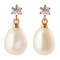 Sparv �reringe - Daily Earrings - Forgyldt
