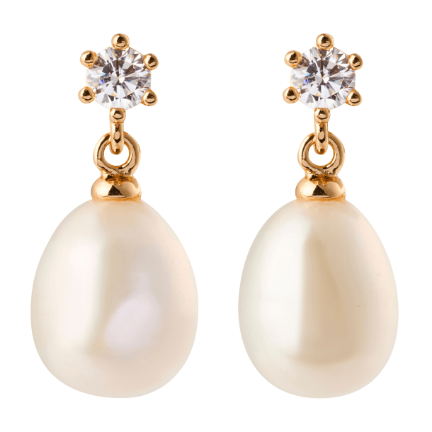 Sparv �reringe - Daily Earrings - Forgyldt