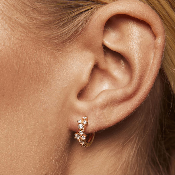 Sparv reringe - Petite Twilight Earrings - Forgyldt