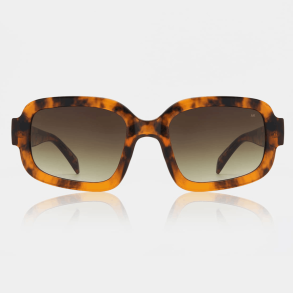 A. Kj�rbede Solbriller - Pluto - Havana