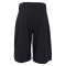 Black Colour Shorts - BCDavina Panel Shorts - Black